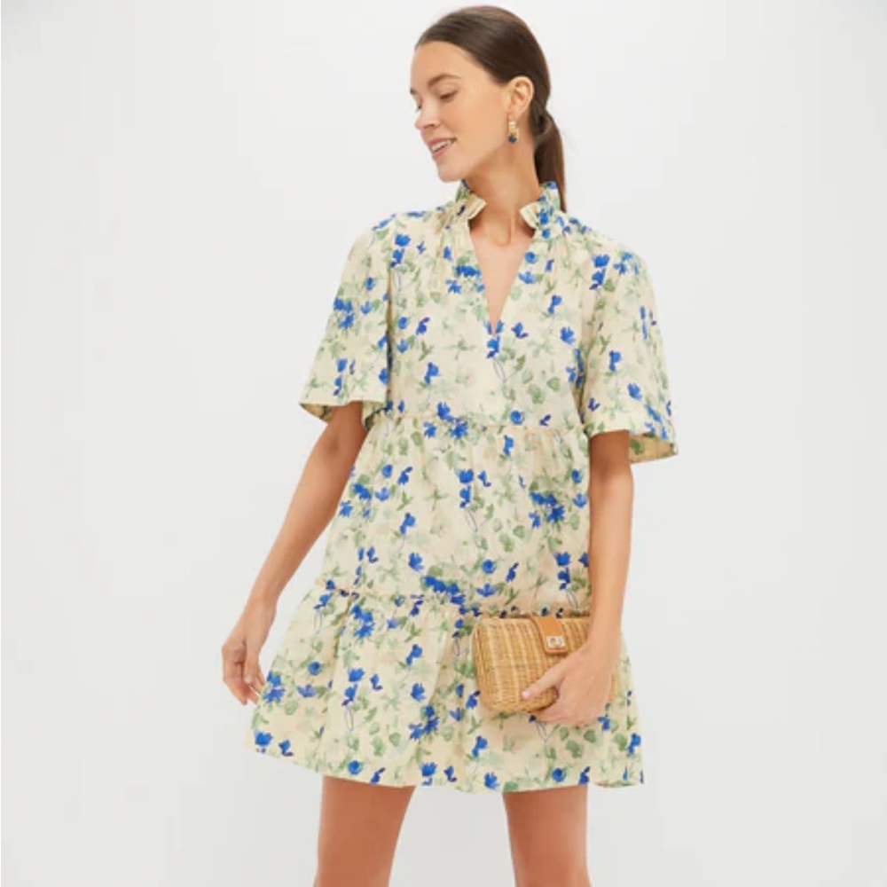 Tuckernuck Crawford Dress